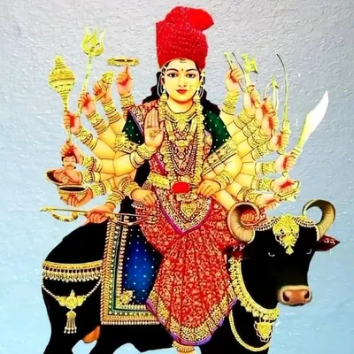 Jay maa vihat profile