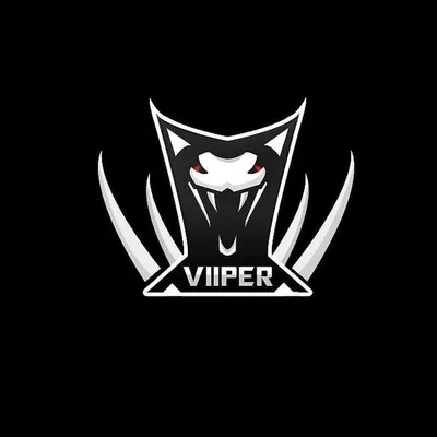 Viiper Gaming ๐ง๐ฟ profile
