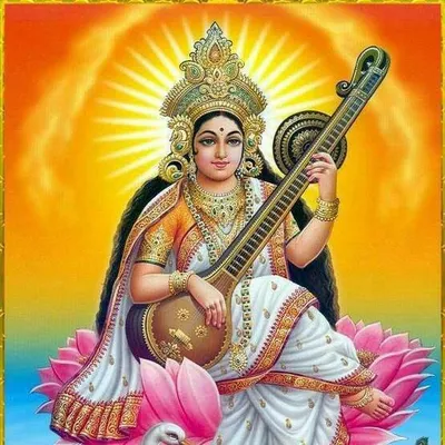 Vijay Gadhvi profile