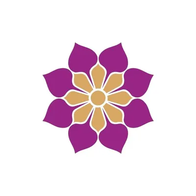 Vijayalakshmi Silks profile