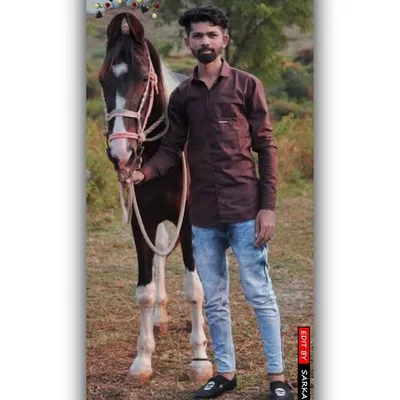 Vijay Sagthiya profile