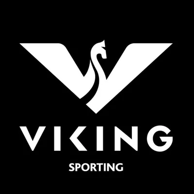 Viking Arms Ltd profile