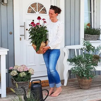 Silke Dröger profile