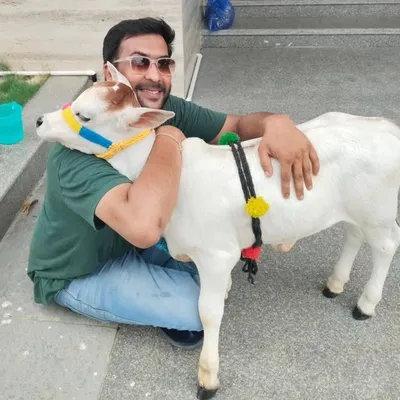 Vinay Vellore profile