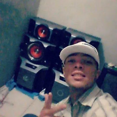 Vinicius Souza Gianini profile