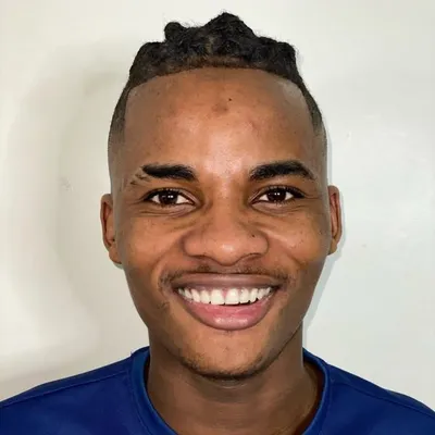 Vink officiel profile