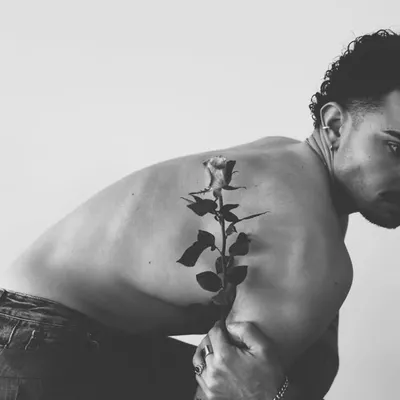 Vincent profile