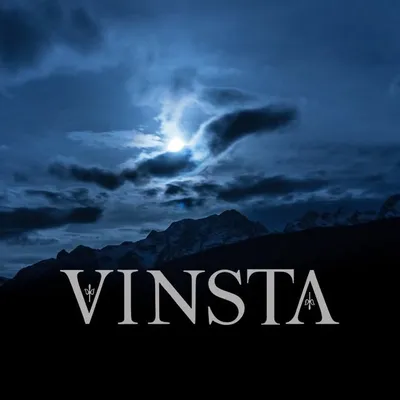 Vinstagram profile