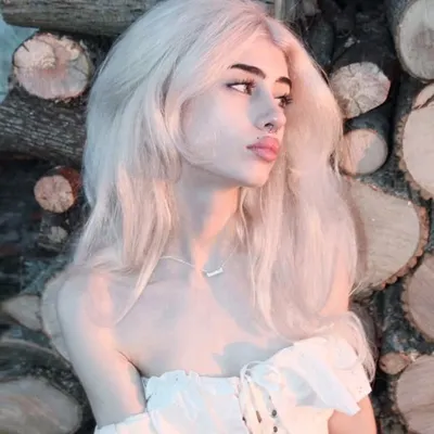 lex dakota profile