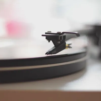 Vinyl Fling profile