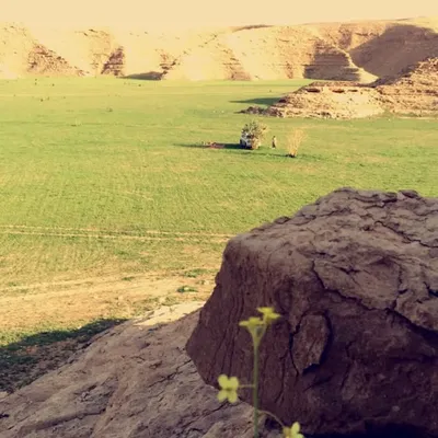 عبدالله التميمي profile