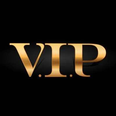 VIP Lifestyle Miami profile
