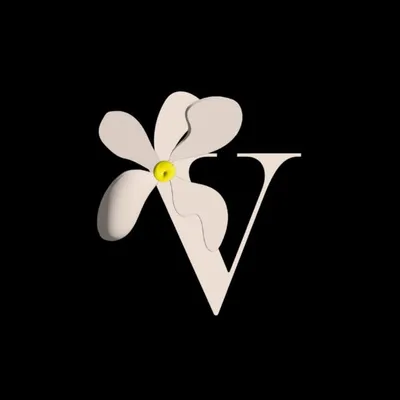 Vira | Holistic women’s health profile