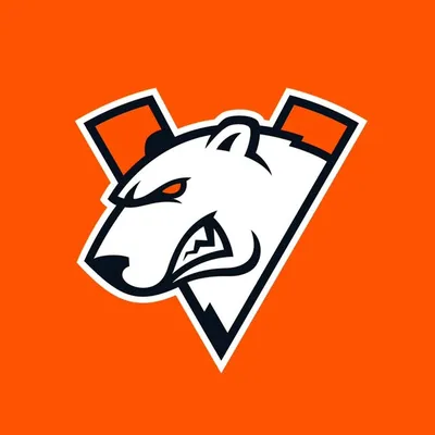 Virtus.pro profile