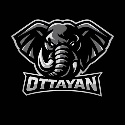 OTTAYAN profile