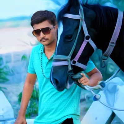 vishvrajsinh_Panchi_1 profile