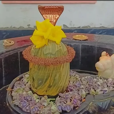 श्री विश्वनाथ महादेव मंदिर profile