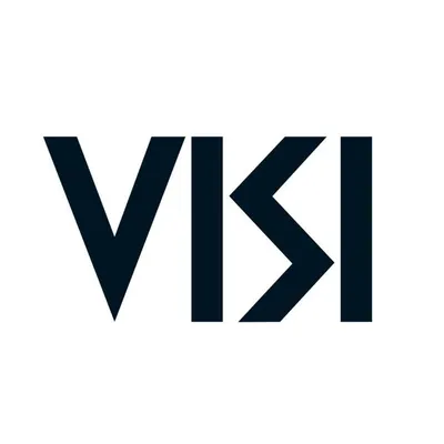 VISI Magazine profile