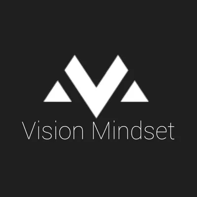 Vision Mindset profile