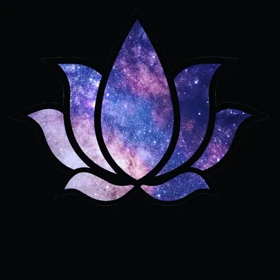 Vision Customs Canada profile