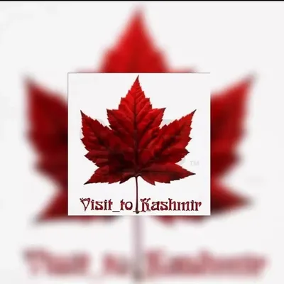 Let's Visit Kashmir profile