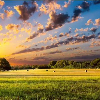 ๐ฉ๐๐ฆ๐๐ง ๐ง๐๐ซ๐๐ฆ โญ ๐ง๐ฅ๐๐ฉ๐๐ ๐ง๐๐ซ๐๐ฆ profile