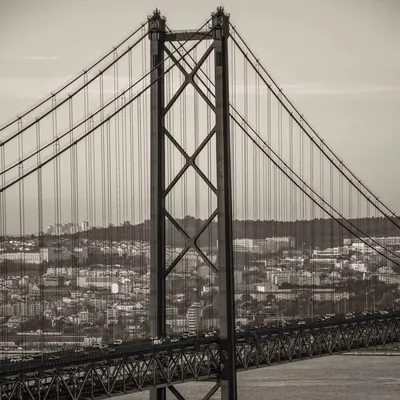 โช ๐
๐พ ๐
๐ป ๐ณ ๐ฟ ๐ท ๐พ ๐
๐พ ๐
โช profile