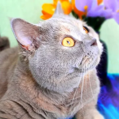 💜Enjoy your life💜 profile