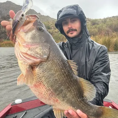 VitalFishing profile