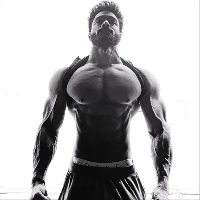 Vivek Sharma profile