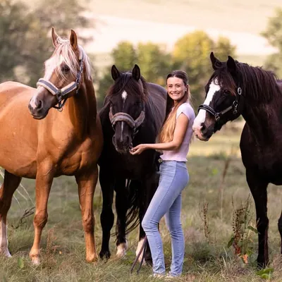 Viviane - about Horses and other Stories ๐ซ profile