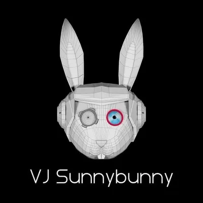 VJ SUNNYBUNNY profile