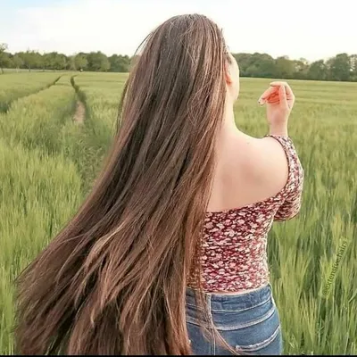 V'KA profile