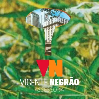 Vicente Negrão Assessoria profile