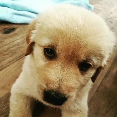 Ahoj, moje jméno je Vodopád. profile