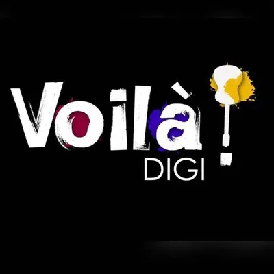 Voila Digi Private Limited profile