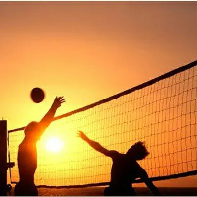 volleyball fan and lover profile