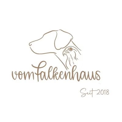 vomFalkenhaus | Halsbänder | Leinen | Hundeshop profile