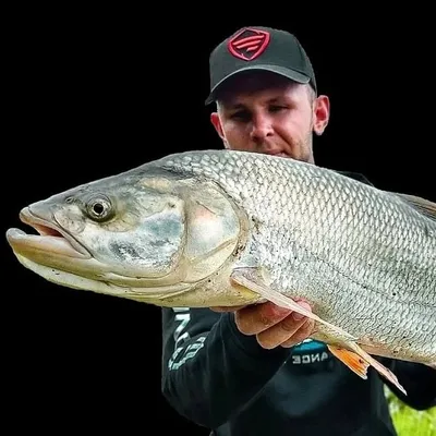 Вова Керницький profile