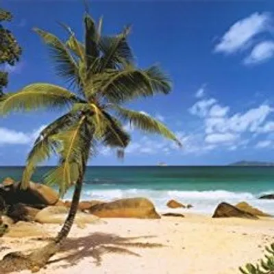 Vacations | Travel | Nature profile