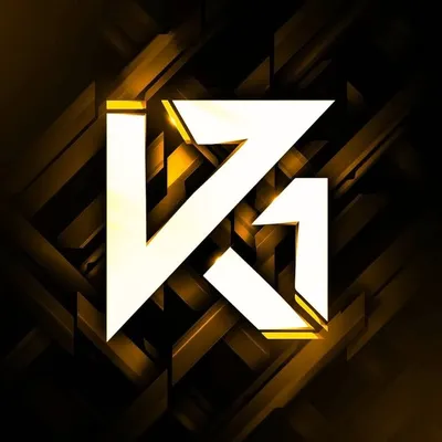 VR1 ESPORTS profile