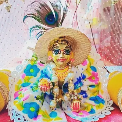 Madhav profile