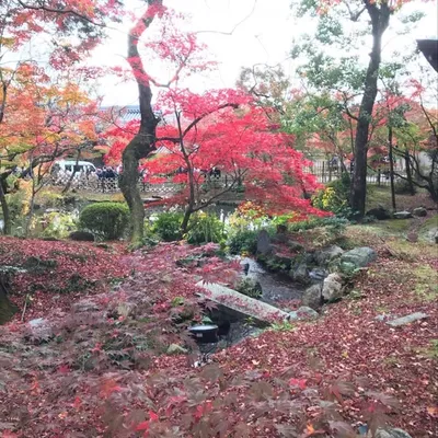 こうすけ profile