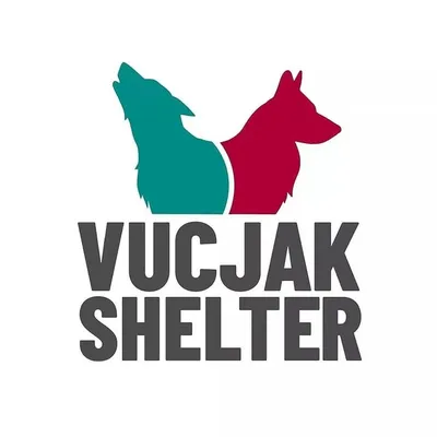 Dejan Vucjak Shelter Gacic profile