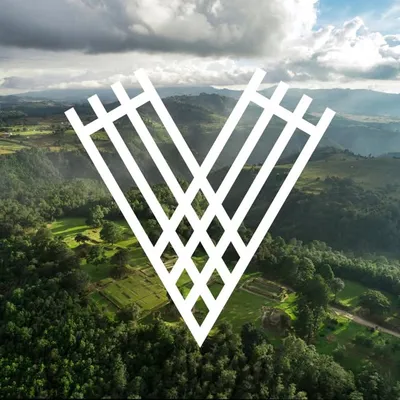 Vuelotenango profile