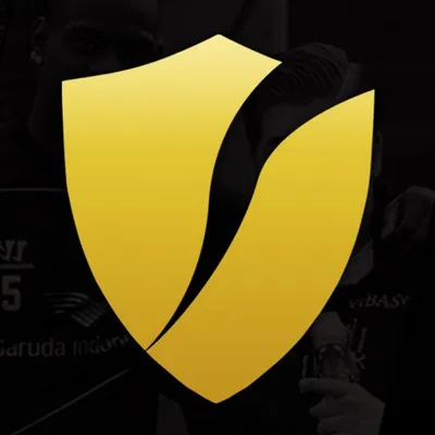 Bas van Velzen profile