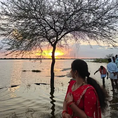 VYSHU profile