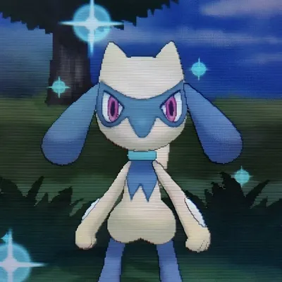 Catherine profile