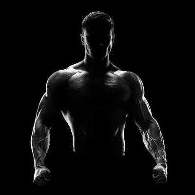Wad| Gym| Motivation profile