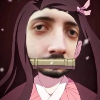 Memes de Wade Otaku profile